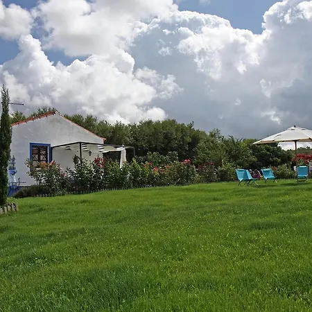 Monte Do Costa בית כפרי אלג'זור